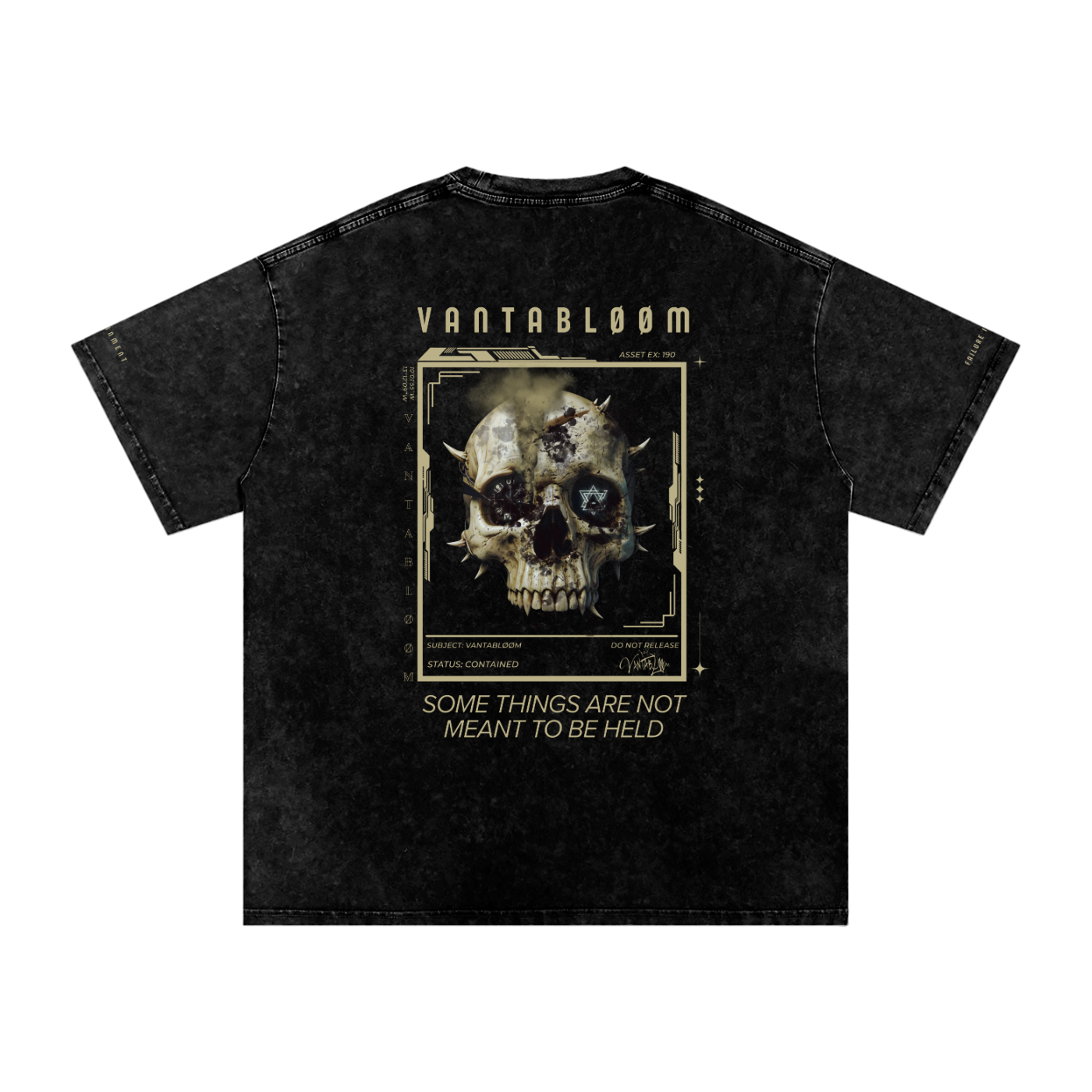 Snow Washed Oversized VANTABLØØM Tee