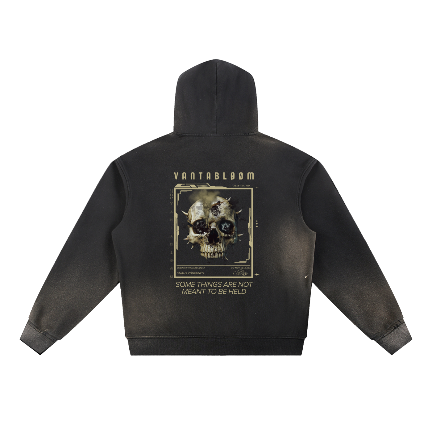 Sun Fade Frayed VANTABLØØM Logo Fleece Hoodie